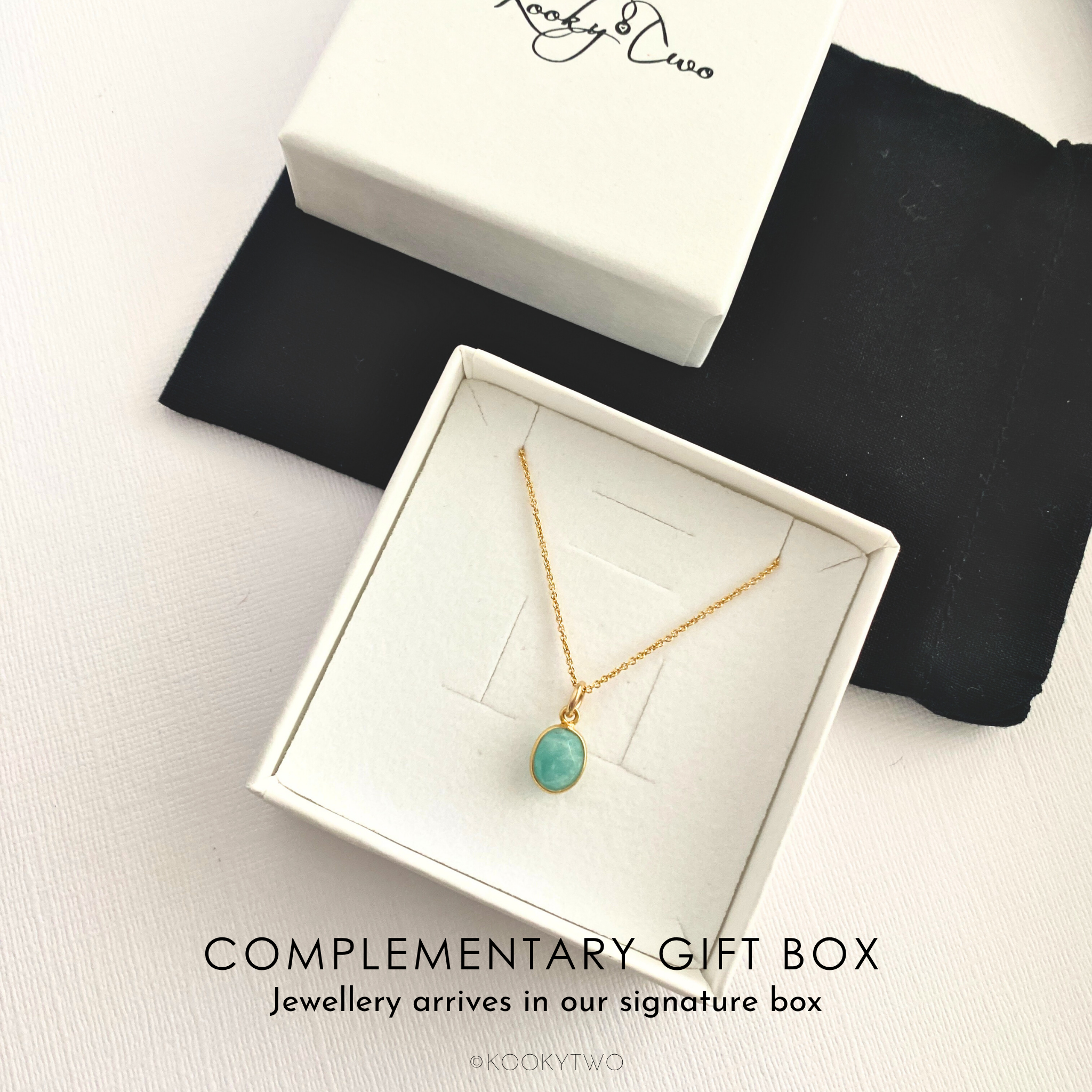 Gold necklace with an ammonite charm pendant in a white jewellery box.