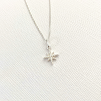 Silver star-shaped pendant with CZ crystals on silver necklace on a white background.