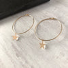 Gold Star Hoop Earrings - KookyTwo